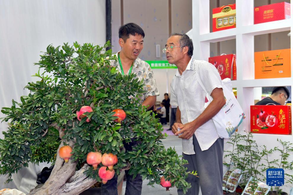 mg游戏违法吗